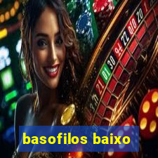 basofilos baixo